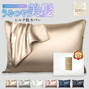 【本日23:59まで! 全品10%OFFクーポン配布中!!】シルク 枕カバー 片面シルク100% 22匁 35×50 4