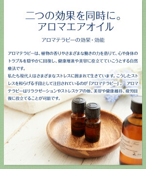ナチュラルバランスアロマエアオイルスターターセット(10ml×6種入りセット)【naturalbalance/ナチュラルバランス】