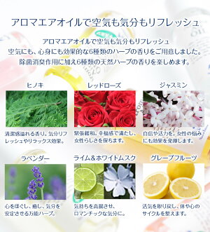 ナチュラルバランスアロマエアオイルスターターセット(10ml×6種入りセット)【naturalbalance/ナチュラルバランス】