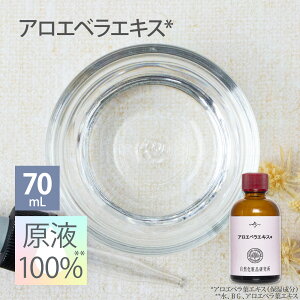 AGxGLX t 100 et Zx { GCWOPA {^jJ 10mL 70mL [ AGxtGLX tet Z Aloe Vera  RX 艻ϕi ޗ  ]
