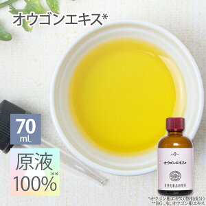 IESGLX t 100 et Zx { GCWOPA {^jJ 20mL 70mL [ IESGLX tet Z  RX 艻ϕi ޗ  {^jJϕi 