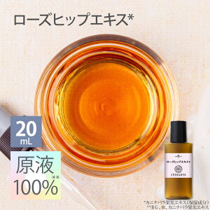 [YqbvGLX t 100 20mL Ռv{g et Zx GCWOPA {^jJ [ JjioʎGLX tet Z  RX 艻ϕi ޗ  {^