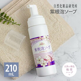 【ポイント10倍】 エイジングケア 紫根泡ソープ 210ml 泡洗顔 シコン 紫根 泡ソープ