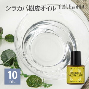 VJoIC 10mL [։ [ LAIC Y VJo }bT[WIC XLPA eIC ێ GCWOPA ]