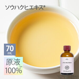 \EnNqGLX t 100 et Zx { GCWOPA {^jJ 20mL 70mL [ }OGLX tet Z  RX 艻ϕi ޗ  {^jJϕi