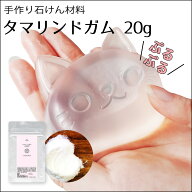 タマリンドガム 20g 手作り石けん ハンドメイドソープ 材料 [ 夏休み 冬休み 自由研究 DIY 工作キット タ…