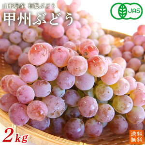 _Ew엿@R`YbBԂǂ2kgi5`6[jyzL@JASEI[KjbNER_@EL@ԂǂEOrganicGrape