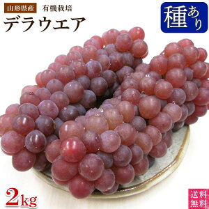 _ER`YL@fEFAԂǂ2kgi12`14[E킠jL@JASEI[KjbNER_@y퉷ցz