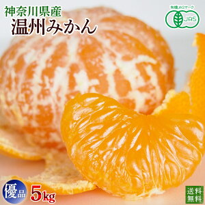 L@݂@_ސ쌧Y@B݂5kg@DiEƒp@@ʌi@L@JAS