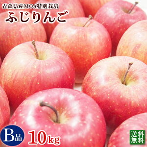 XY@̓ʍ͔|@ӂ񂲁@Biiƒpj@10kgyz_͔|i50jlIjRt[