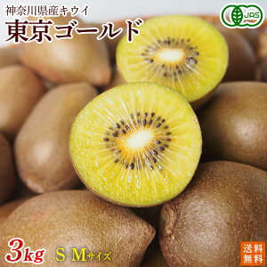 L@LECt[c@S[h@3kg@S`MTCY@_ސ쌧cYy@I[KjbN@L@JASz