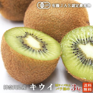 L@LECt[c3kg_ސ쌧cYy@I[KjbN@L@JASz