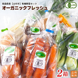 【お徳用】有機JAS認定　オーガニックフレッシュ2箱セット（14～18品）青森県産・有機栽培・ヤマトクール冷蔵品発送　送料無料