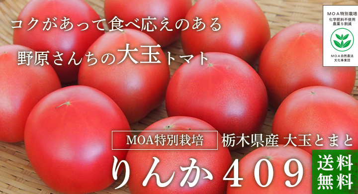 おしゃれ】 特別栽培 大玉トマト りんか４０９ ４ｋｇ ２ｋｇ×２箱