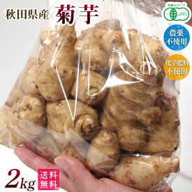 新物【2025年産】有機菊芋2kg（きくいも）洗い・オーガニック・有機JAS・農薬・化学肥料不使用【送料無料・数量限定品・秋田県産】