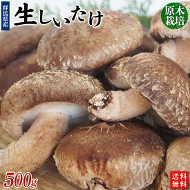 原木栽培「生しいたけ」500g【送料無料】クール冷蔵便発送