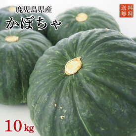 農薬化学肥料不使用・鹿児島県産かぼちゃ（恋するマロン、他）10kg【限定50箱　送料無料】