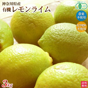 レモン ライムの人気商品 通販 価格比較 価格 Com