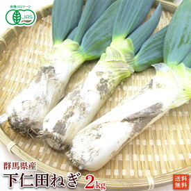 有機栽培・群馬県産　斉藤さんの下仁田ねぎ2kg（10～18本入）【送料無料】有機JAS・Organic・オーガニック