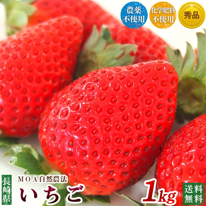 楽天市場 長崎県産 農薬 化学肥料不使用 いちご １ｋｇ 秀品 自然農法 送料無料 無農薬イチゴ クール冷蔵便 健康ご予約