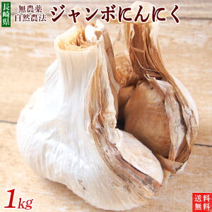 W{ɂɂ1kg_Ew엿sgpy茧Y EEʌizjjN@Gt@gK[bN@R_@