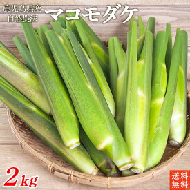 鹿児島県産　マコモダケ2kg　農薬・化学肥料不使用【送料無料・クール冷蔵便】自然農法　生食可