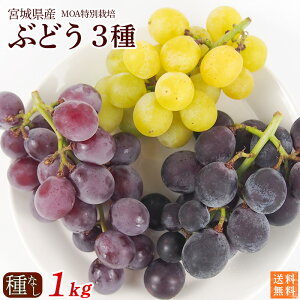 {錧Y@Ԃǂ3ZbgyȂz1kgi3[jMOAʍ͔|E㓡Ԃǂ_Ei킨܂ZbgiiwsjyEN[①ցzN[֑݁@ǉȂ@