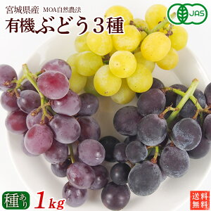 {錧Y@L@Ԃǂ3Zbgy킠z1kgi3[j㓡Ԃǂ_Ei킨܂ZbgiiwsjyEN[①ցzN[֑݁@ǉȂ@L@JASEI[