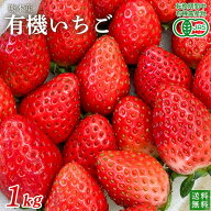 有機いちご　1kg熊本県産 　転換期間中有機農産物　秀品【送料無料】＜クール冷蔵便＞オーガニックストロ…
