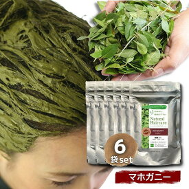 マホガニー Naturalic ナチュラリック ナチュラル ヘナ 100%天然ハーブ トリートメント ヘアカラー ブラウン系 濃茶 髪質改善 無添加 化粧品登録 まとめ買い お得 送料無料 【マホガニー 6袋セット】