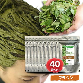 ブラウン ヘナ トリートメント ヘアカラー 髪質改善 無添加 化粧品登録 まとめ買い 送料無料【ブラウン40袋セット】