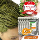 ナチュラル ヘナ Naturalic ナチュラリック 100%天然ハーブ トリートメント ヘアカラー オレンジ 髪質改善 無添加 化粧品 まとめ買い お得 送料無料 【ナチュラル 6袋セット】