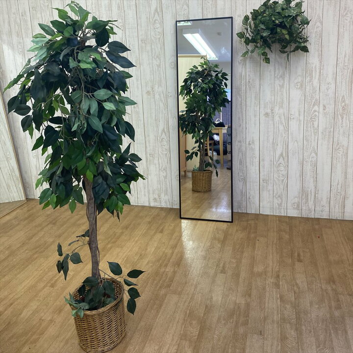 楽天市場】全身鏡 壁掛け 姿見 姿鏡 全身 鏡 壁 掛け 壁掛け鏡 姿見鏡 