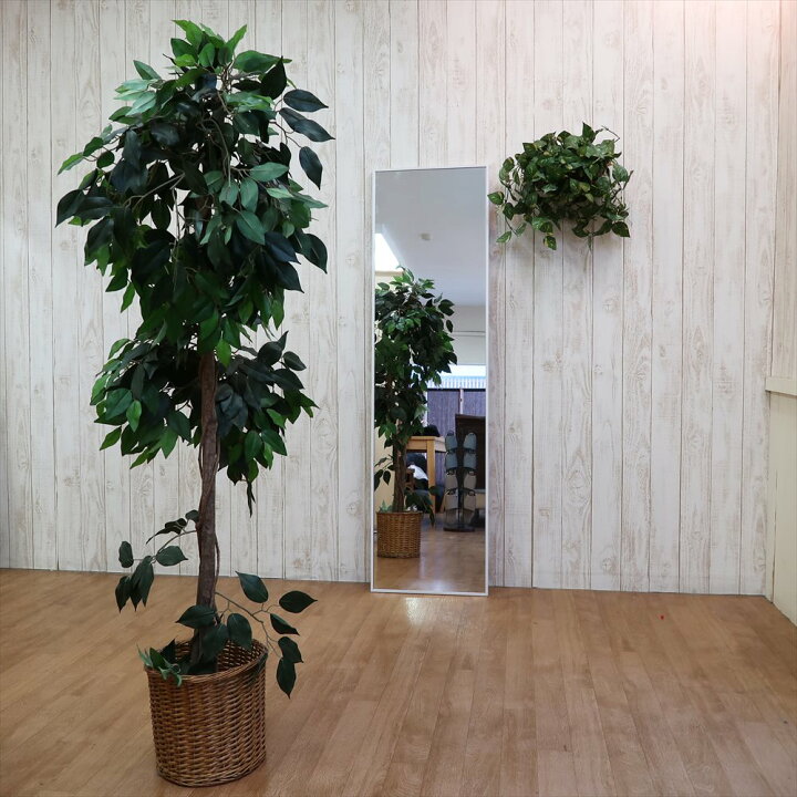 楽天市場】全身鏡 壁掛け 姿見 姿鏡 全身 鏡 壁 掛け 壁掛け鏡 姿見鏡 