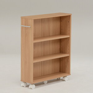 }KWbN g LX^[t 55×s16×68cm RCC-1021-S