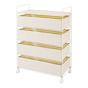 h[ g LX^[t 4i o 60×s30×85cm RAN-2437