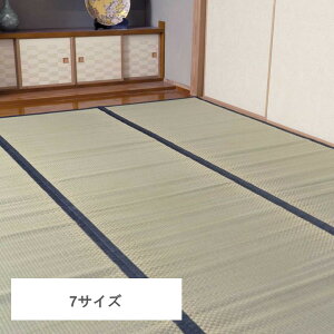���Y ���� ��~�� �J�[�y�b�g �͗l�ւ� �R�ۖh�L���� ���o�[�V�u�� �c�n��1��(��85×170cm)/�c�n��2��(��170×170cm)/�c�n��3��(��170×255cm)/�c�n��4.5��(��255×255cm)/�c�n��6��(��255×340cm)/�c�n��8��(��34