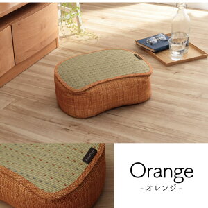  NbV X}z Iu NA X}zNbV 30×40×15 ru ^ubg Q[ \t@ ڂ Ǐ  肩 \t@ Xc[  RoK[h ėp  ȒP 