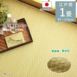 ���� ��~�� ���� �v���[����~ �]�ˊ�1�� �}�b�g ���~�� �� 87 × 174 cm �s���� �� ������ ���Y�� �����F ���{�� �a�� ���o�[�V�u�� �R���p�N�g ���[ ������� �ȒP ���L �������� ��C���� ��