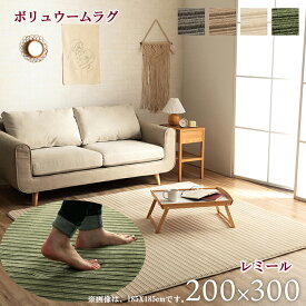 ラグ こたつ敷 カーペット 長方形 200 x 300 cm レミール 約 3.5 畳 ボリュウームラグ フランネル 保温 エコ マット ふっくら あったか ホットカーペット 対応 床暖房 滑り止め加工 中材 低反発ウレタン15mm クッション性 グレージュ ベージュ アイボリー グリーン 年中 IK