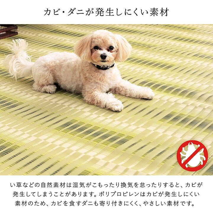楽天市場】洗える ペット用カーペット PP ラグ 日和 江戸間 1畳 2畳 3 