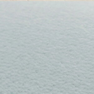 ラグ カーペット 正方形 185 x 185 cm ピオニー2 無地 2畳 薄手 軽量 洗濯機 で 洗える 子供部屋 ソファー前 ベッドサイド フランネル素材 しっとり 抗菌 防臭 加工 マット 滑り止め付き ホットカ