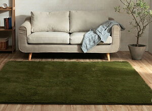 O J[ybg ` tBbv2   200 × 250 cm  3 􂦂 ɂ n tBg ӂӂ RpNg I[V[Y g[ zbgJ[ybgΉ Ȃ߂炩 ʂׂ