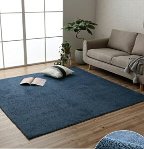 ラグ カーペット 長方形 約 200 × 250 cm プリーム 約 3畳 こたつ敷 マット エコ あったか ホットカーペット 床暖房 対応 滑り止め加工 洗濯機 洗濯可 丸洗いOK ミックスパイル コンパクト ベージ