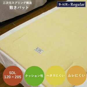 }bgX Z~_u O 120 x 205 R hL  􂦂 { ~zc ~zc Ԓ }bg GA[T|[g r[GA[ B-AIR Regular SDL I[o[C~ M[