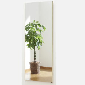 Ȃ  Ǌ| Ȃ Sg    Sg   60  150 cm 2.4 Kg { 傫 p  Ǌ| y ~[ g {  p g ~[ Y y nk΍ S 