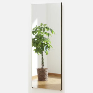 Ȃ  Ǌ| Ȃ Sg    Sg   60  150 cm 2.4 Kg { 傫 p  Ǌ| y ~[ g {  p g ~[ Y y nk΍ S 