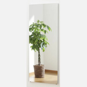 Ȃ  Ǌ| Ȃ Sg    Sg   60  150 cm 2.4 Kg { 傫 p  Ǌ| y ~[ g {  p g ~[ Y y nk΍ S 