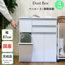 楽天市場】分別ペール カウンターの通販