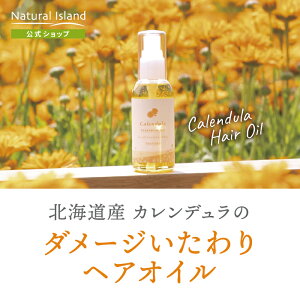 yzi`ACh Jf̂wAIC 81ml b wAIC 􂢗Ȃ 􂢗ȂwAIC X^CO Jf L[eBN _[WPA C 